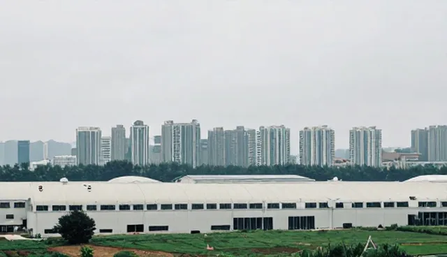如何高效进行数据采集分析？